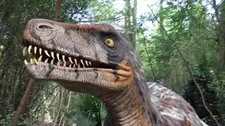 Free Stock Footage Utah Raptor Attack
