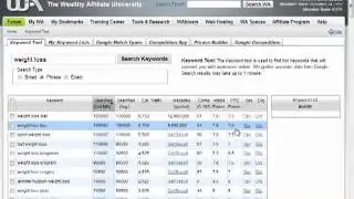 Wealthy Affiliate Keyword tool review