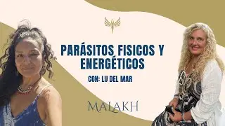 Parásitos físicos y energéticos