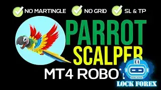 ROBOT FOREX FREE DOWNLOAD (PARROT SCALPER EA)