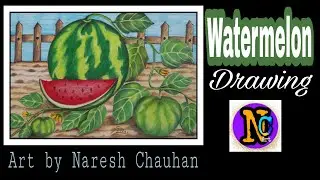 Watermelon Drawing ( Pencil colour Drawing )