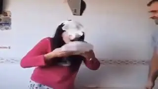 THE BEST VIDEOS FROM REDDIT #010
