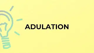 What is the meaning of the word ADULATION?