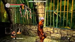 Bogs Binny Plays Dark Souls - Episode 1