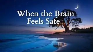 Calm Is the Brain&rsquo;s Natural State &mdash; A Science-Based Sleep Story