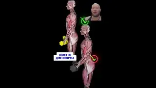 How does cheating work from a biomechanical perspective?