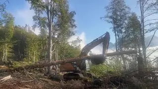 Case CX 210D - Forstwegebau