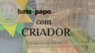 Conversando com criadores