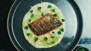 Norwegian Hardanger Trout | Celeriac Pur&eacute;e, Basil Oil & Apple