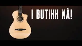 NYHET: Taylor 312ce-N