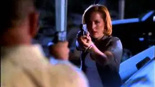 The X-Files: Scully&Skinner {Illuminated}
