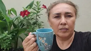  ROTINA  ANTES DO TRABALHO/CAF&Eacute; NO JARDIM OUVINDO OS P&Aacute;SSAROS #4k #rotinadi&aacute;ria #cafe 