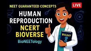 Human Reproduction Part 1 | Male & Female Reproductive System + Gametogenesis | NCERT Bioverse NEET