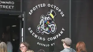 Spotted Octopus Brewing Company now open in downtown Buffalo