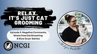 Negative Comments, Stress Free Grooming & Blow Dryer Battles | Relax. It’s Just Cat Grooming Ep.2