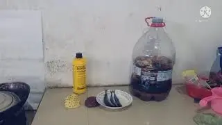 tutorial cara membuat asam amino (@dewaneduren)