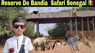 Great African Safari in Senegal (english tour guide)| Reserve De Bandia Wildlife Jungle Senegal