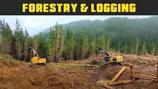 Logging Site & Dangle Head Log Truck Loading - Real Life Forestry & Logging - FDR Logging
