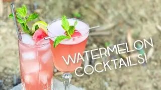WATERMELON COCKTAIL RECIPES - Vodka and Rum for the win!