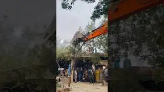 Don't Cut The Trees 😡 #nature #encroachment #tree