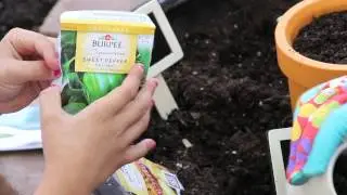 Planting a Pizza Garden with Disney and The Organized Cook