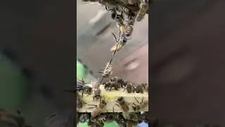 Amazing team work 😍