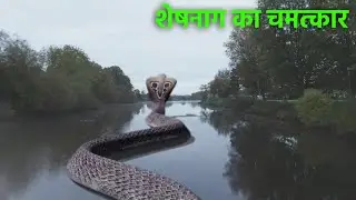 शेषनाग का चमत्कार शिवलिंग को बचाने आगए शेषनाग | महादेव का चमत्कार