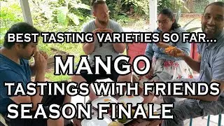 Mango Tastings w Friends - 2021 SEASON FINALE:  East Meets West 🥭 🥭 🥭