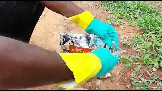 #Dr brand, wild boar repellent granules application