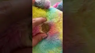 James Maddison $1 dollar coin from 1809-1817. Is it worth more?