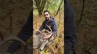 Full Video - Nice Michigan 8pt Whitetail recovery. Lost blood & called in the dog!