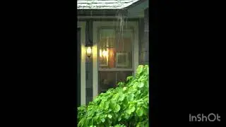 Gentle Rain sound | Rain Falling Down From The Roof top|Raining shower sounds |