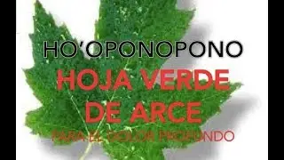 🍁 Ho&rsquo;oponopono para soltar todos los apegos t&oacute;xicos pasado HOJA VERDE DE ARCE Frase gatillo Oraci&oacute;n