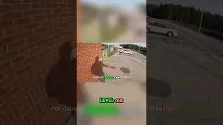 Станции взвешивания во Флориде: что НУЖНО знать дальнобойщикам!