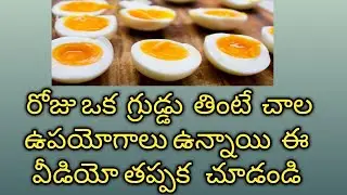 Daily egg eating benifits star tech in telugu