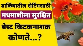 डाळिंबातील सेटिंगसाठी मधमाशीला सुरक्षित किटकनाशक कोणते|#pomogranate #honeybee #insecticide #viral 
