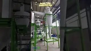 Forage Pellet Production Line - Grass Pellet Production Line - RICHI Machinery