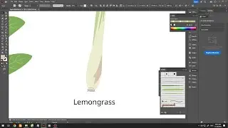 2025-11-26 | Drawing Lemongrass in Adobe Illustrator | Simple Vector Study