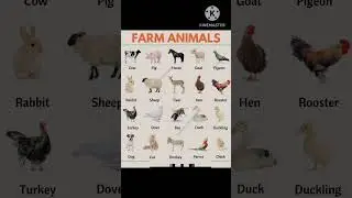 FARM ANIMALS NAMES. #shorts#trending#english#easy#vocabulary#farmanimals