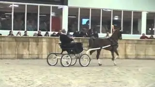 Clinic tuigpaard Egbert Emmink tijdens opening Voornruiters
