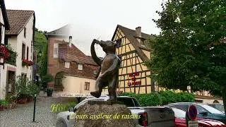 Rando vosgienne Charles du 12/09/25 Andlau-Ungersberg.