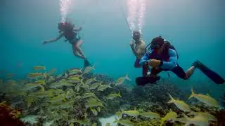 Set Sail for Adventure: Fair Wind Cruises Unveils Unforgettable Experiences!