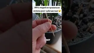99% ЛЮДЕЙ НЕ ПРАВИЛЬНО ИСПОЛЬЗУЮТ ЗУБОЧИСТКИ! #совет #лайфхак #lifehack #хитрость
