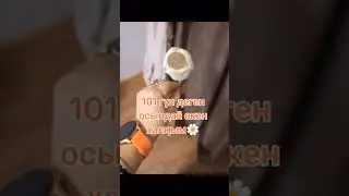 #shorts #shortvideo #qazaqstan #vines #podcast #вайны #short #подпишись #юмор #алматы #смешно#usa