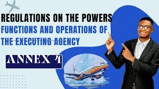 SAATM - Annex 4 of the Yamoussoukro Decision:  Powers and Functions of the Executing Agency