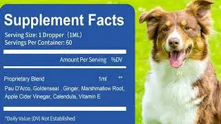 Relief for Itchy Paws & Ears! 🐾 Natural Dog Yeast Infection Treatment Review 🌿🐶