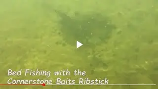 Smallmouth Bass Bed Fishing- Underwater Footage with Cornerstone Baits Ribstick