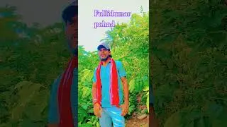 25 July 2025