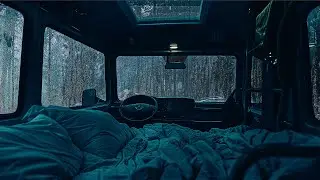 10 Hours⚡️Forest Serenity ASMR: Rain & Van View for Insomnia Relief & Peaceful Sleep