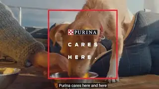 Purina Commercial Voice Over Demo of Clare Rowley Voice Talent